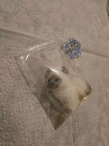 Etsy customer review photo