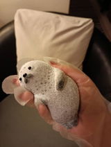 Etsy customer review photo