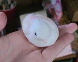 Etsy customer review photo