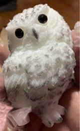 Etsy customer review photo