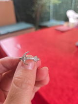 Palmero virginie review photo