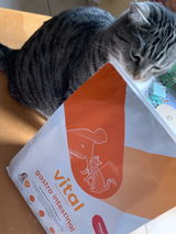 Susi review photo