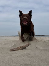 Jule review photo