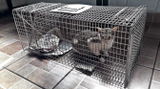 Edit Lopez review photo