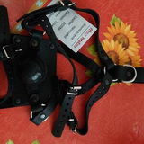 Jorma review photo
