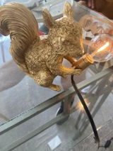 Wren review photo