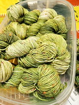 Ellen S. review photo