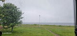 Ludger Bartels review photo