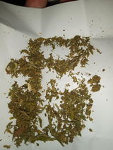 kft review photo