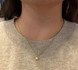 Rosa review photo