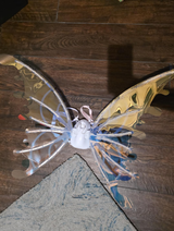 Natalia Paredes review photo