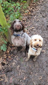 Dog mum review photo