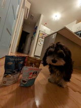 Sebastien S. review photo