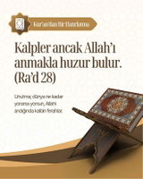 Trendyol Kullanıcısı review photo