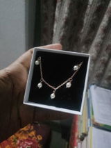 sayanjib s. review photo