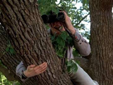 George McFly review photo