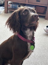 Bethan review photo