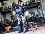 Tom K review photo