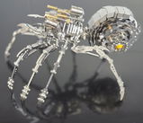 R.M review photo