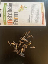 Ilzira review photo
