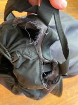 wp review photo