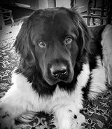 Luca's mom review photo