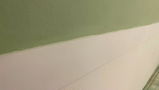 Erlison G. review photo
