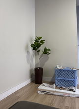Luana review photo