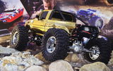 Tom Niederer review photo