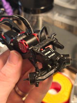 Perca review photo