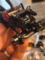 Perca review photo