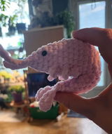 Kitty review photo