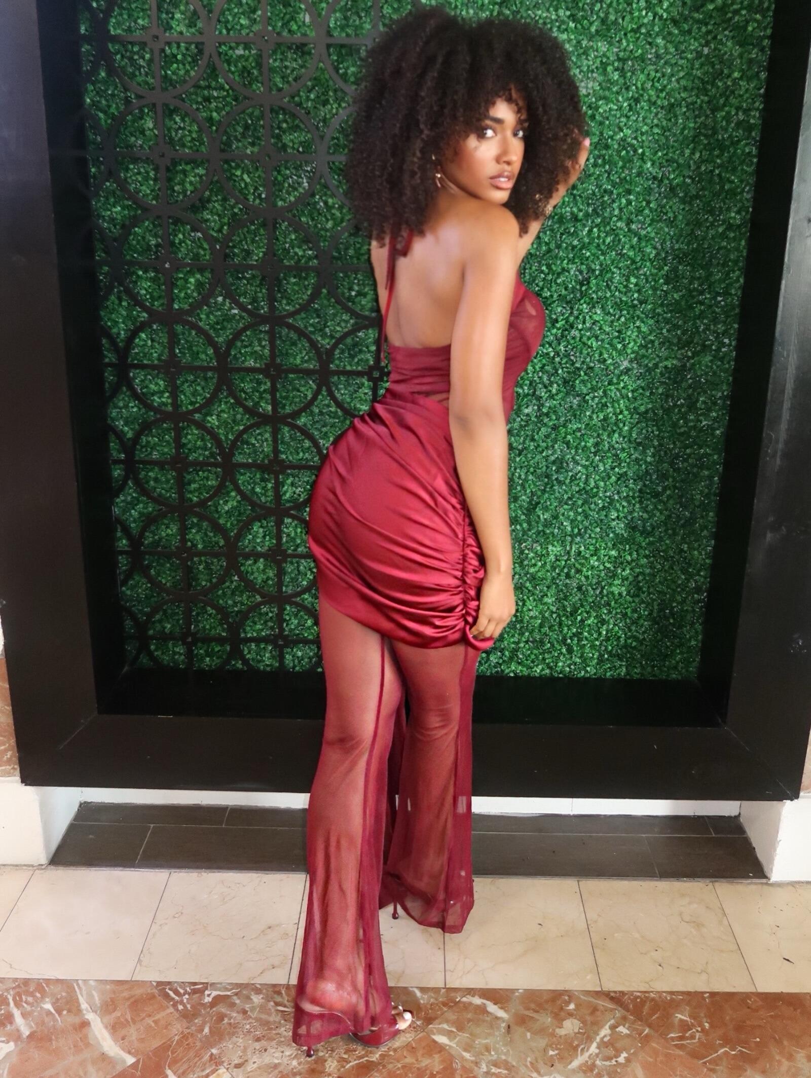 Lavryn Halterneck Mesh Draped Jumpsuit In Wine – Mew Mews