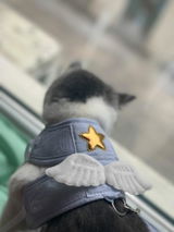H***v review photo