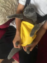 W***f review photo