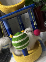 R***z review photo