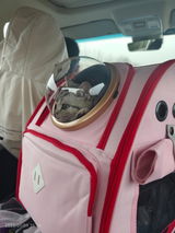 A***P review photo