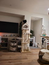 Ji Son review photo