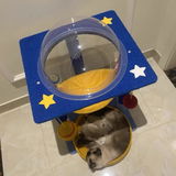 K***c review photo