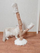U***c review photo