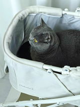 C***k review photo