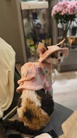 C***k review photo