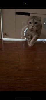 B***d review photo