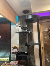 S***e review photo