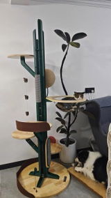 M***n review photo
