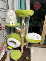 K***e review photo