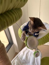 J***n review photo