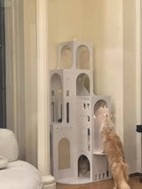 T***i review photo