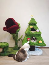 S***y review photo