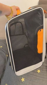 D***s review photo